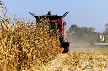 Dry weather hits southern Africa’s farmers