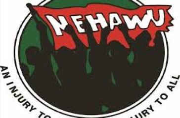 nehawu pic