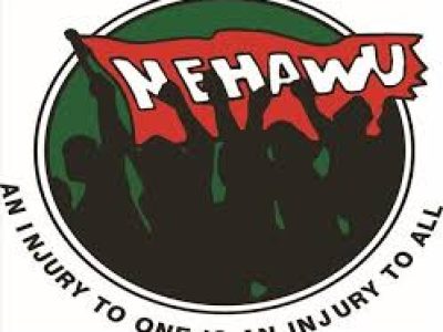nehawu pic
