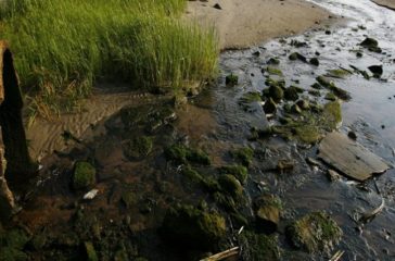 Sewage-5